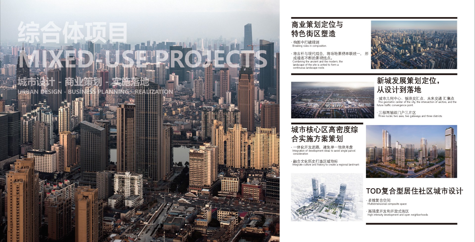 花卉特写，展示了鲜艳盛开的花朵细节