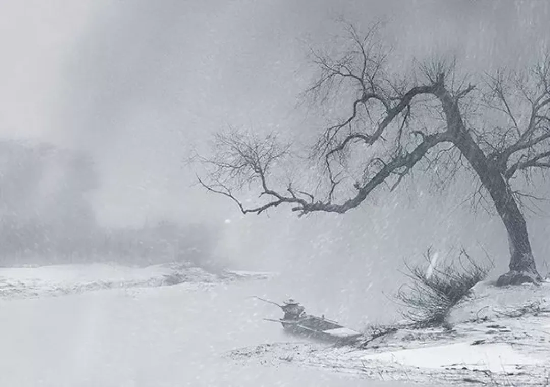 响应式设计展示图